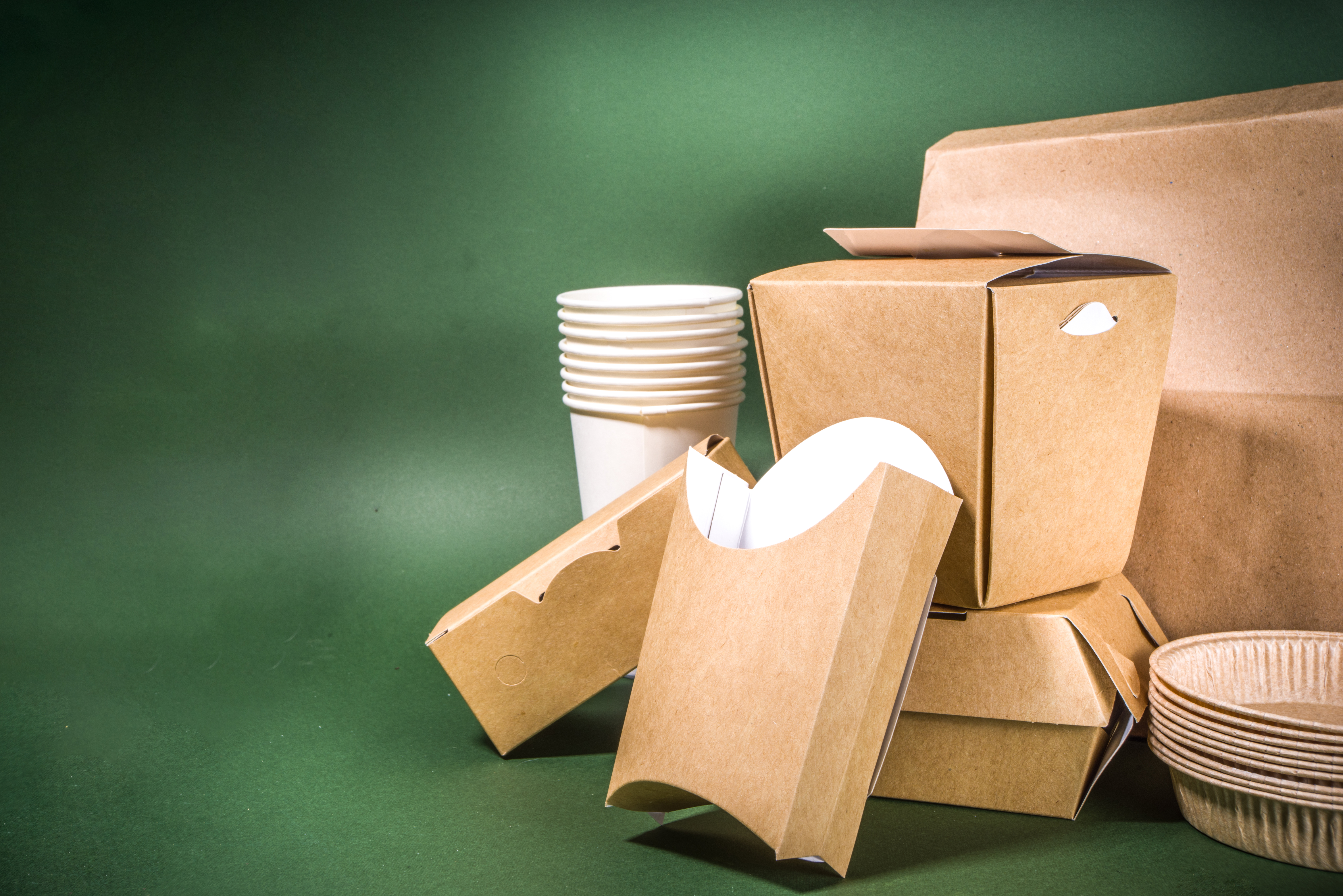 Bagasse-based disposable tableware and packaging
