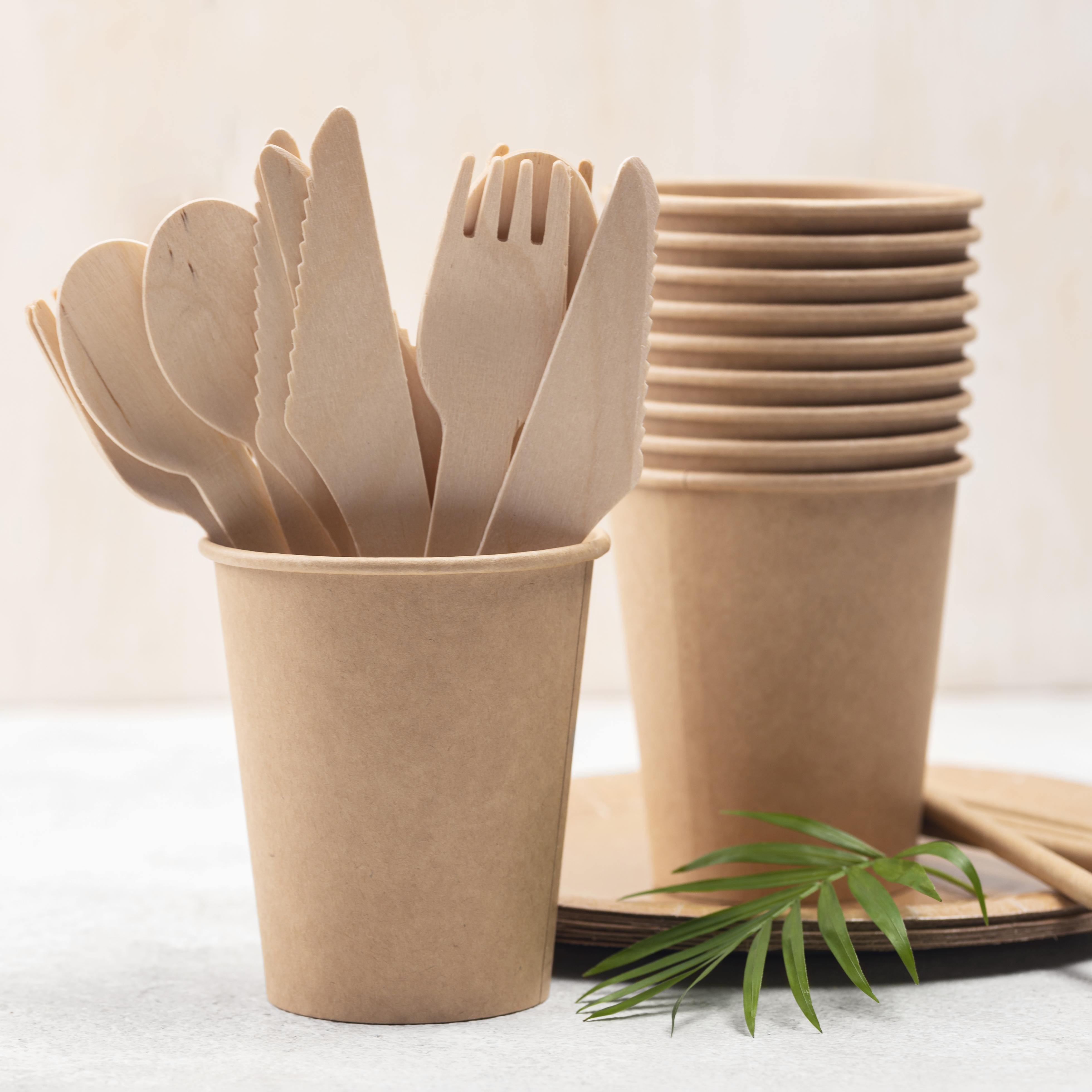 Bamboo and eco-friendly disposable tableware front view