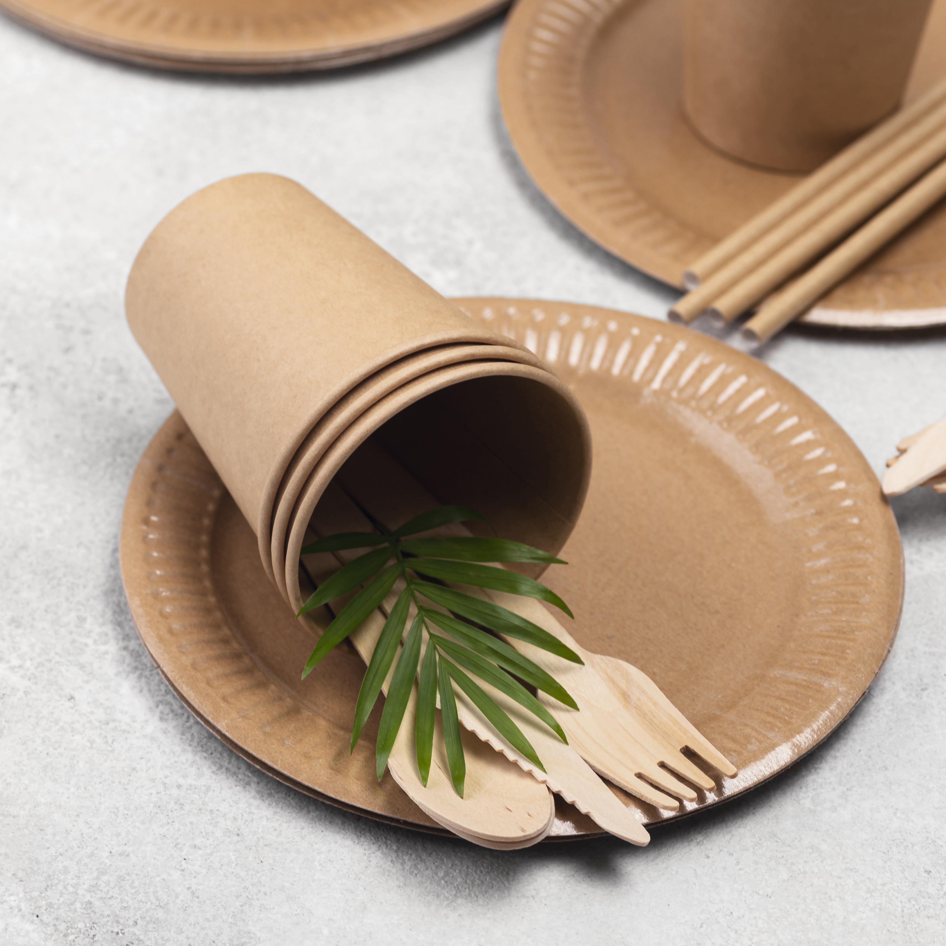 Eco-friendly disposable tableware - zero waste