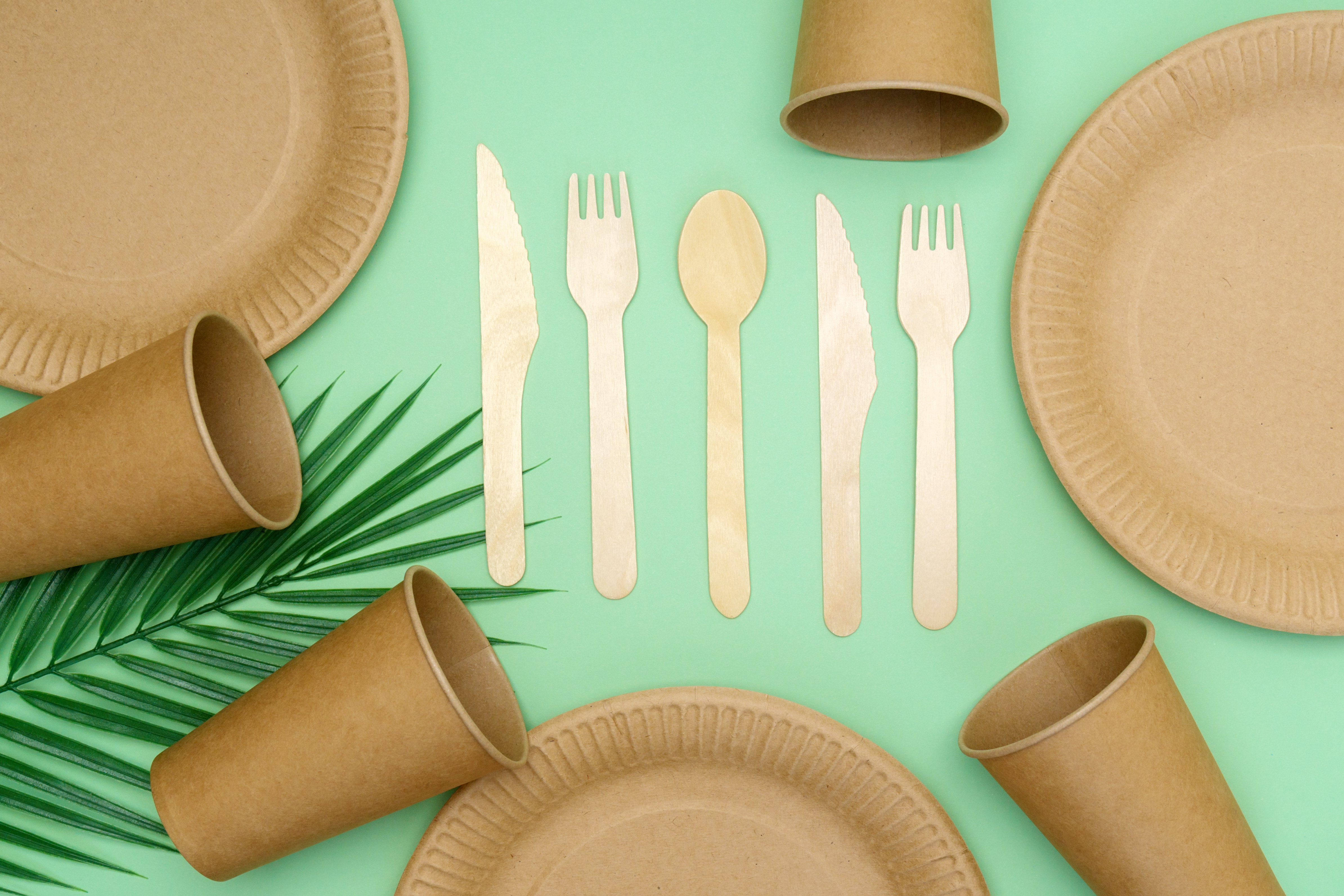 Kraft paper food packaging and eco-friendly tableware